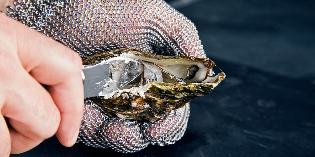 https://funky-de.otelimo.com/wp-content/uploads/2023/04/oyster-1.jpg