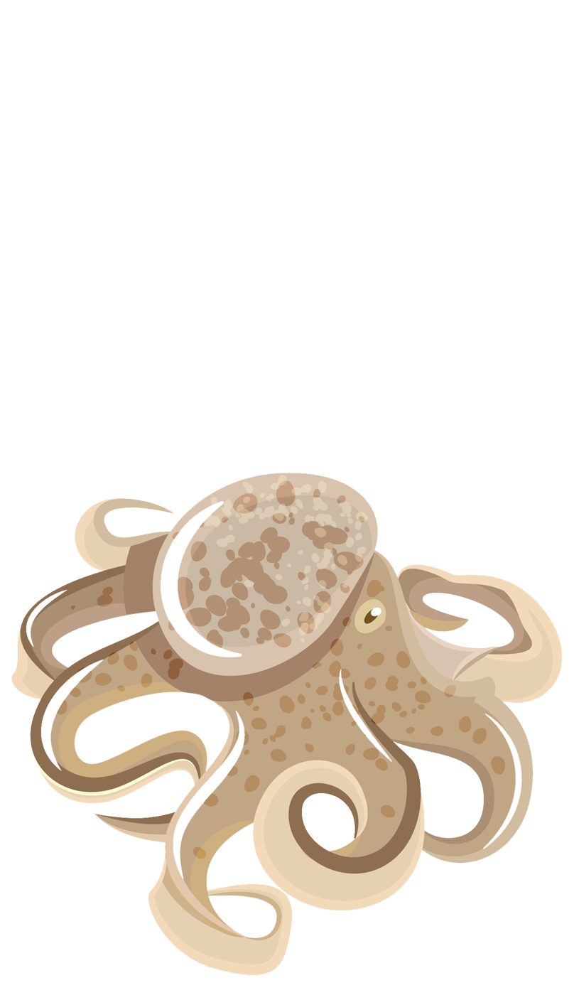 https://funky-de.otelimo.com/wp-content/uploads/2023/04/seafoods-4-6.png