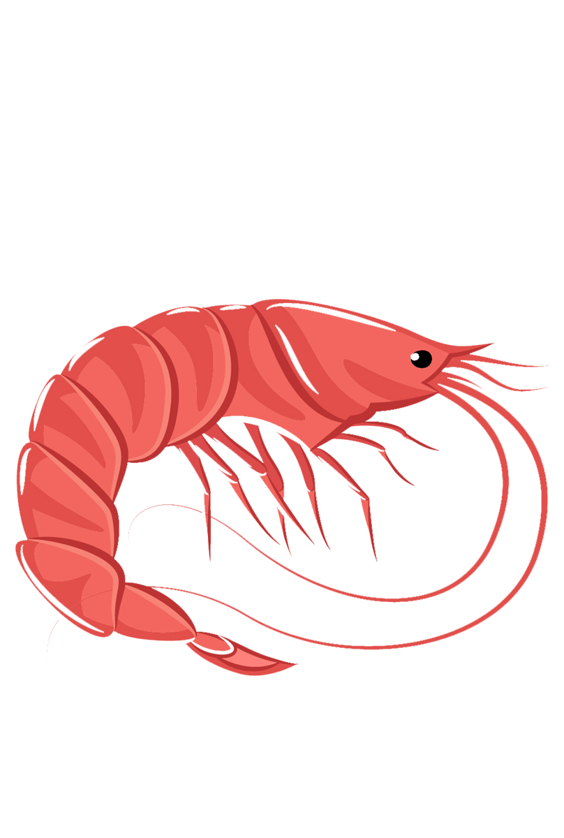 https://funky-de.otelimo.com/wp-content/uploads/2023/04/seafoods-5-2.png